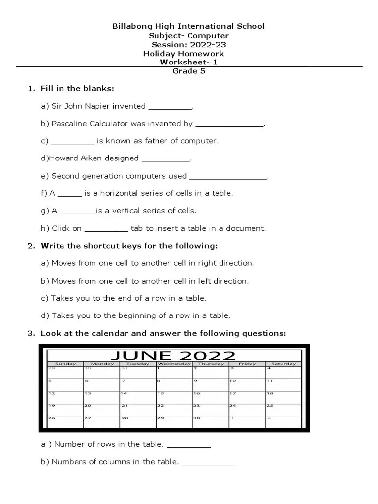 Grade 5 Holiday Homework Worksheet 13 PDF
