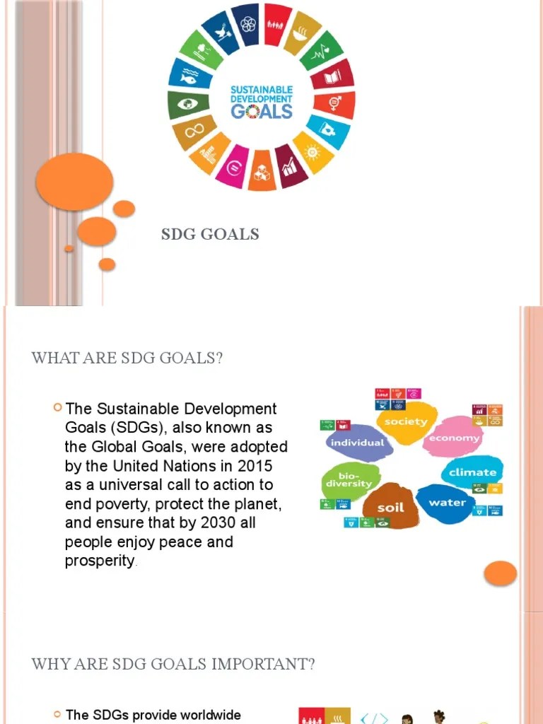 SDG GOALS PDF