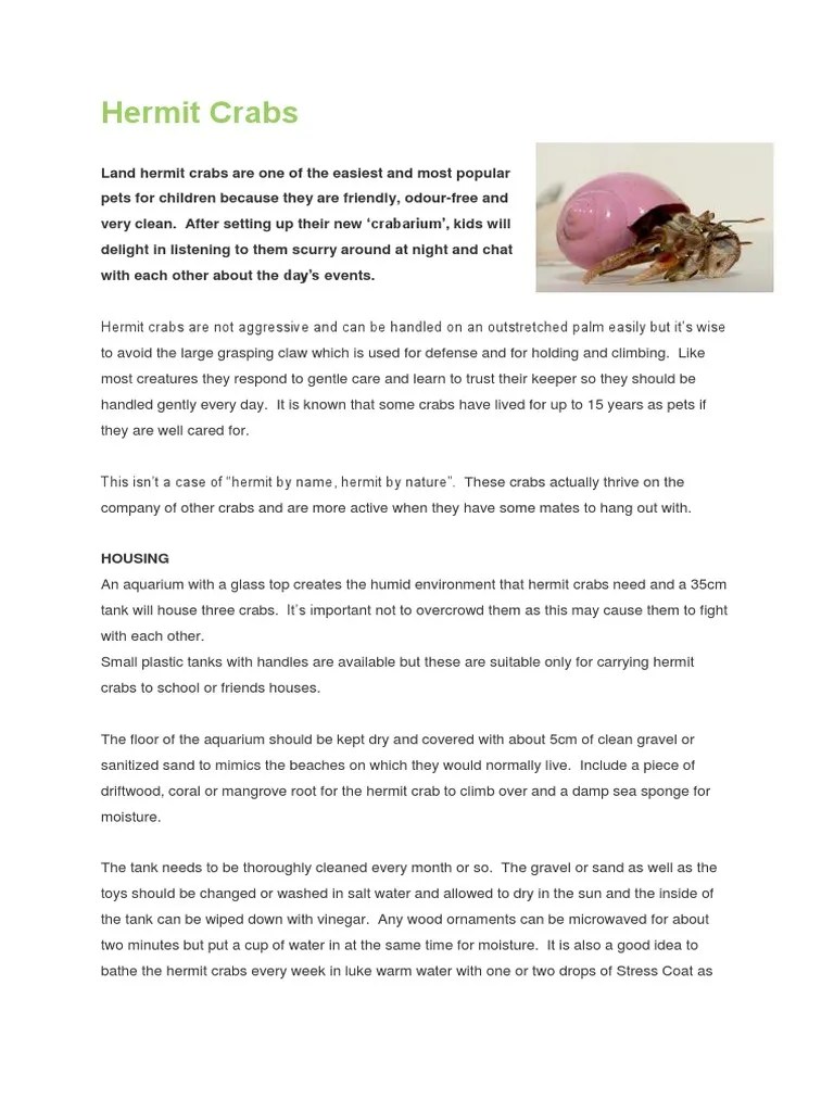 Hermit Crabs PDF Humidity