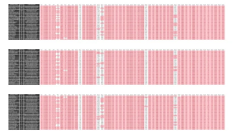 Scores and Answer Key | PDF