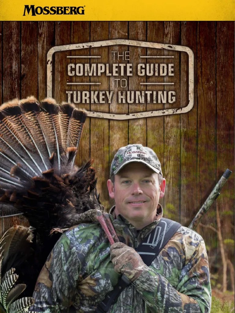 A Comprehensive Guide to Improving Your Turkey Hunting Skills and