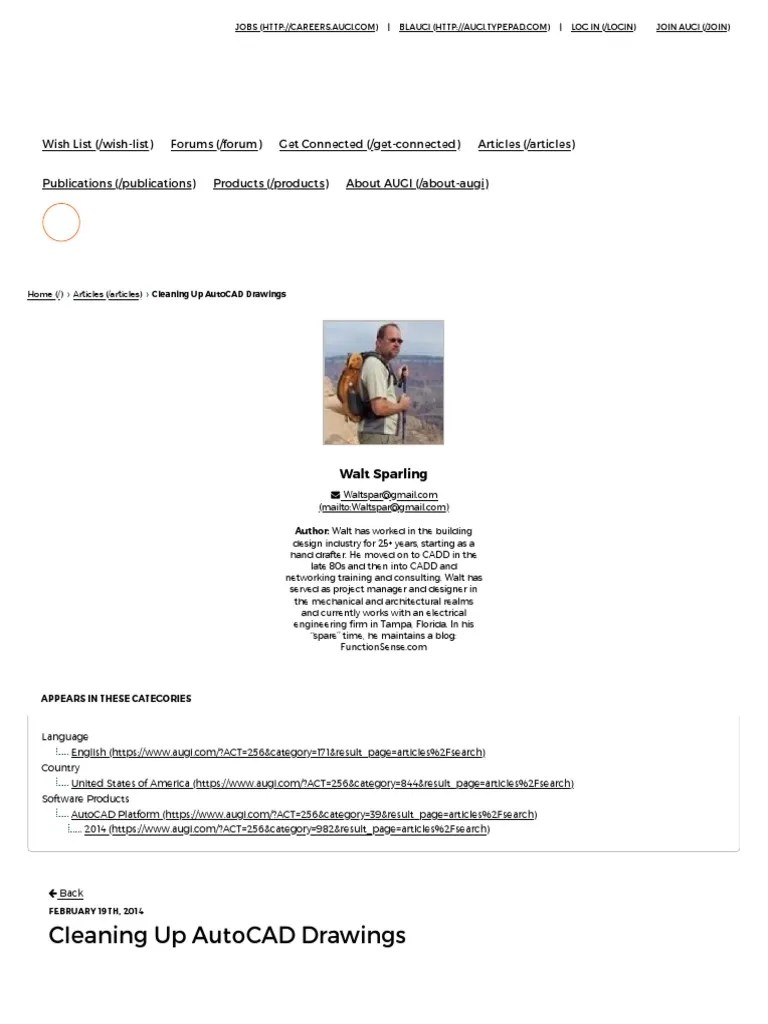 Cleaning Up AutoCAD Drawings PDF Auto Cad Computing
