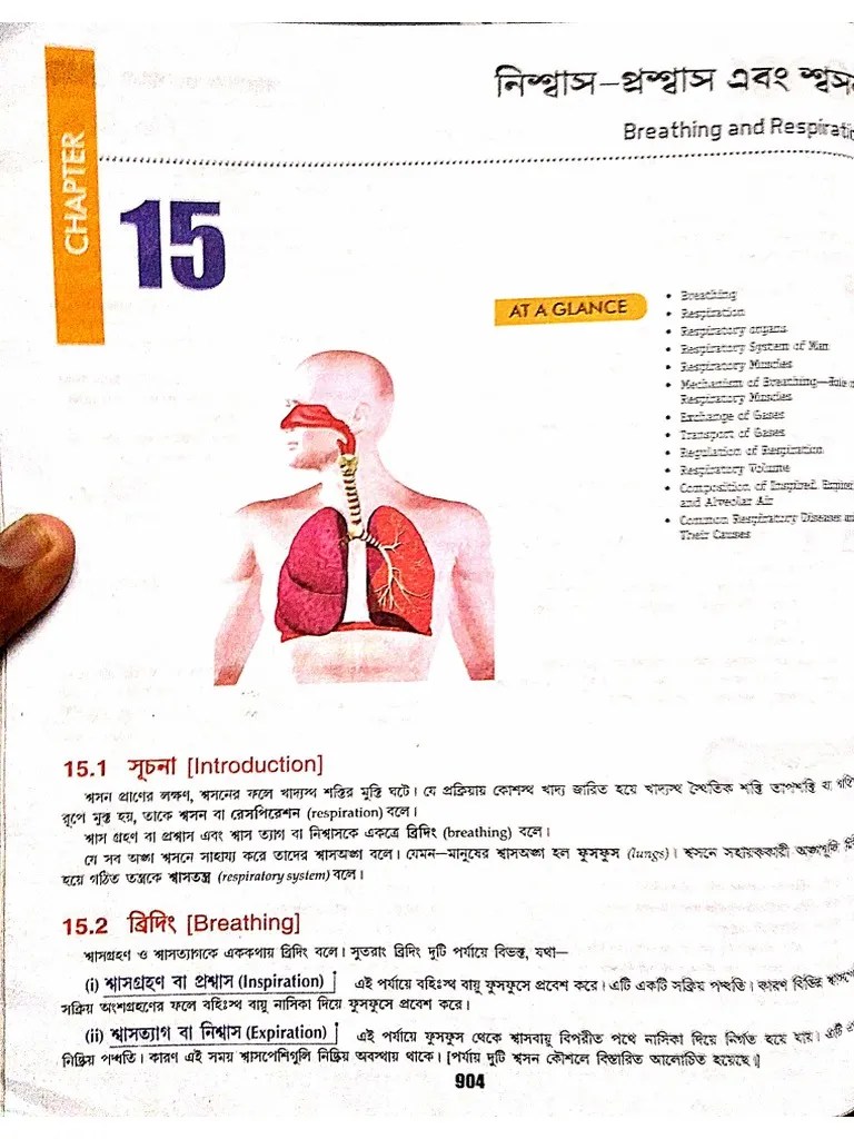 Respiratory System Bengali Santra NEET BIOLOGY PDF