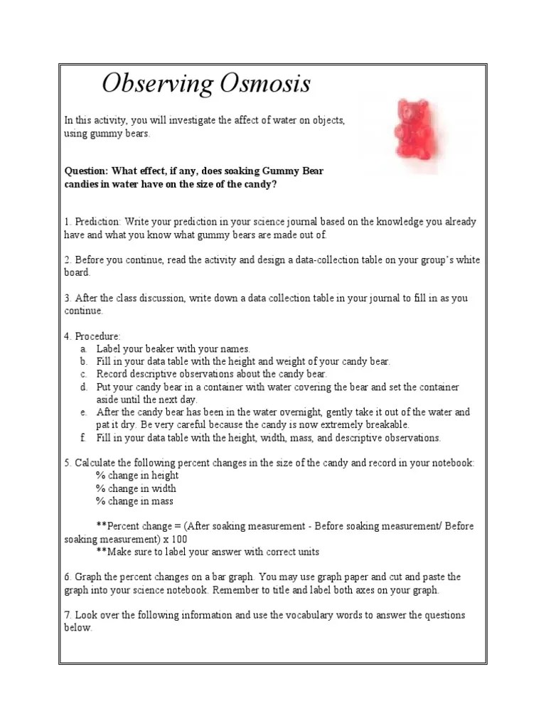 Observing Osmosis Question What Effect, If Any, Does Soaking Gummy