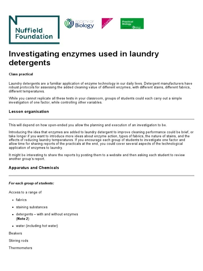Investigating Enzymes Used in Laundry Detergents PDF Laundry