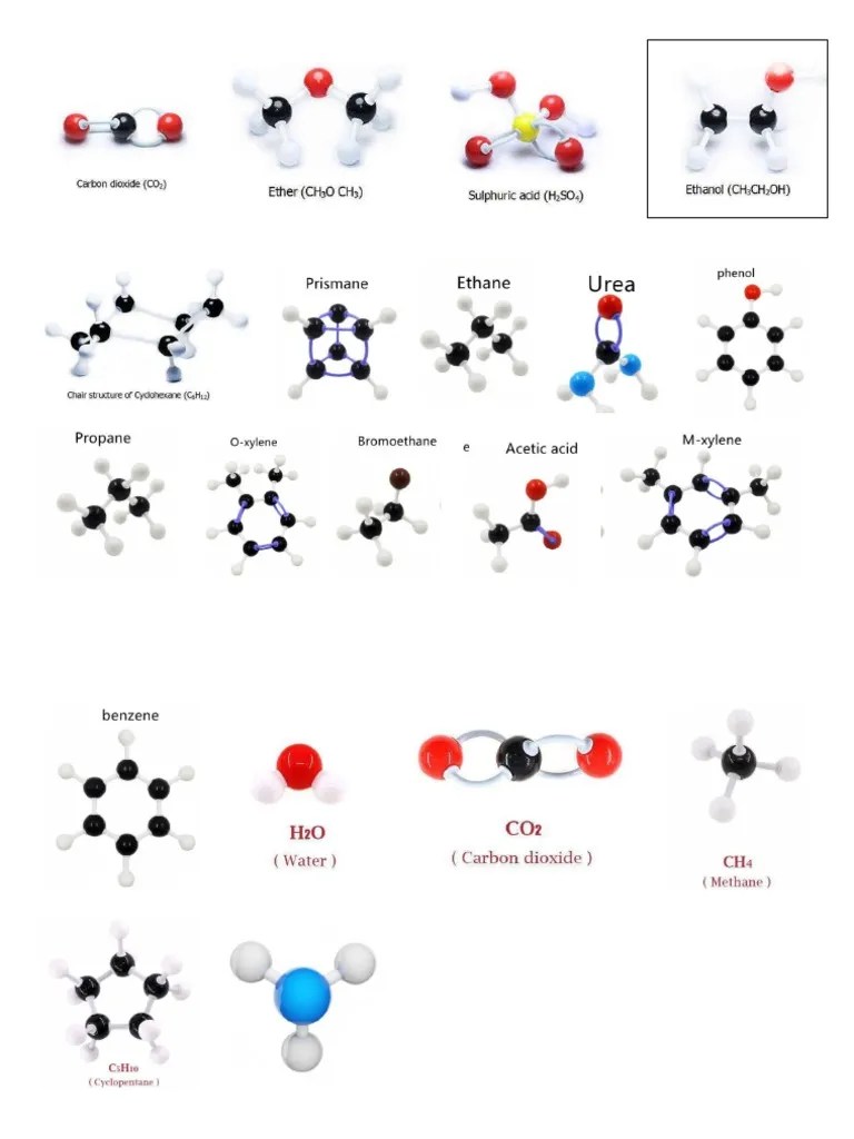 Printable Molymod PDF