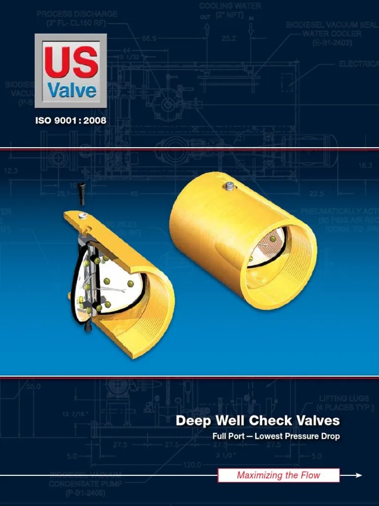 Deep Well Check Valves Maximizing The Flow PDF Valve Stainless Steel