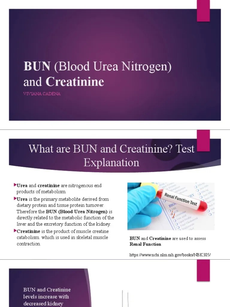 BUN (Blood Urea Nitrogen) and Creatinine PDF Creatinine Clinical Medicine