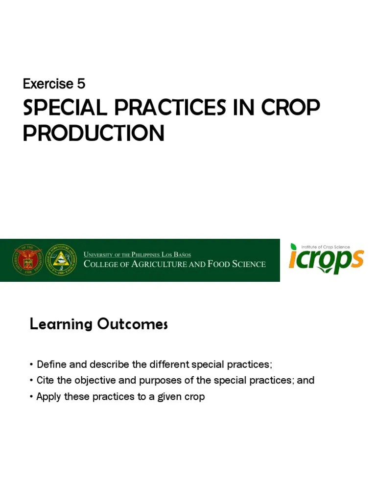 06 Special Practices in Crop Production PDF PDF