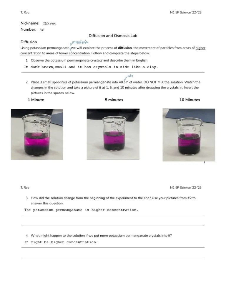 4.3 Diffusion and Osmosis Lab PDF Osmosis Chemistry