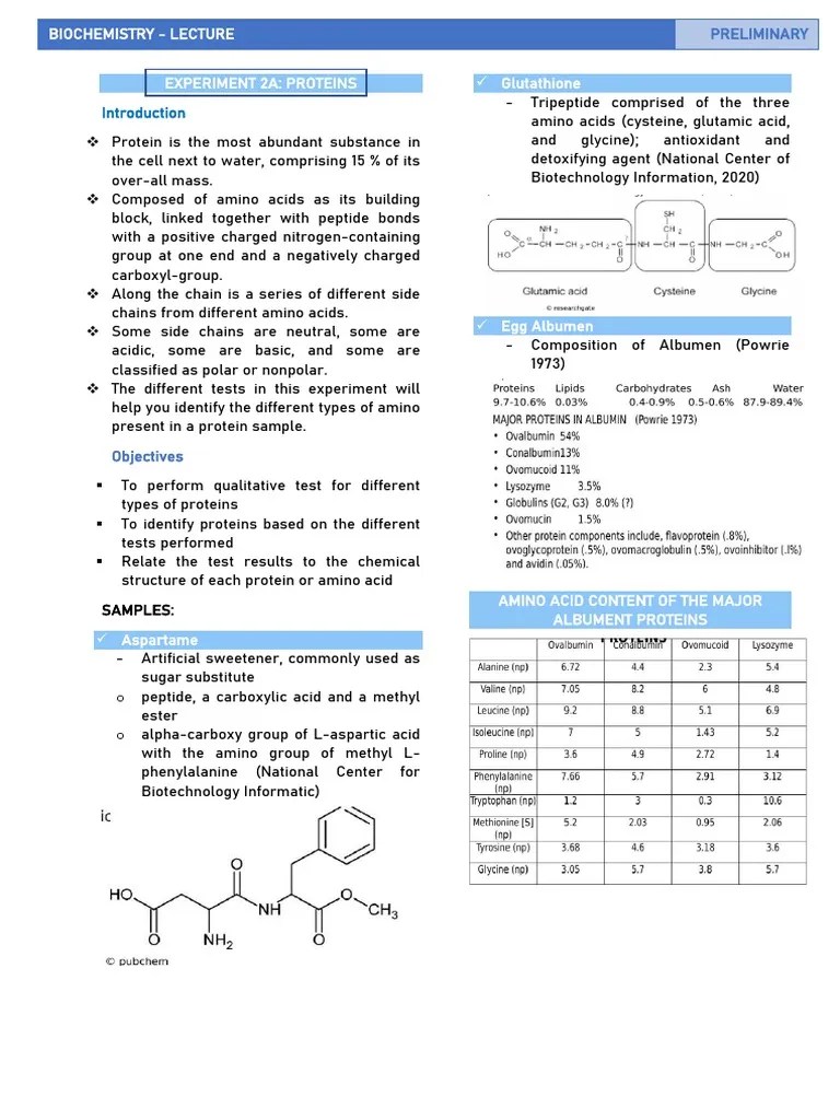 Biochem (Lab) Experiment 2a & 2b PDF Denaturation (Biochemistry