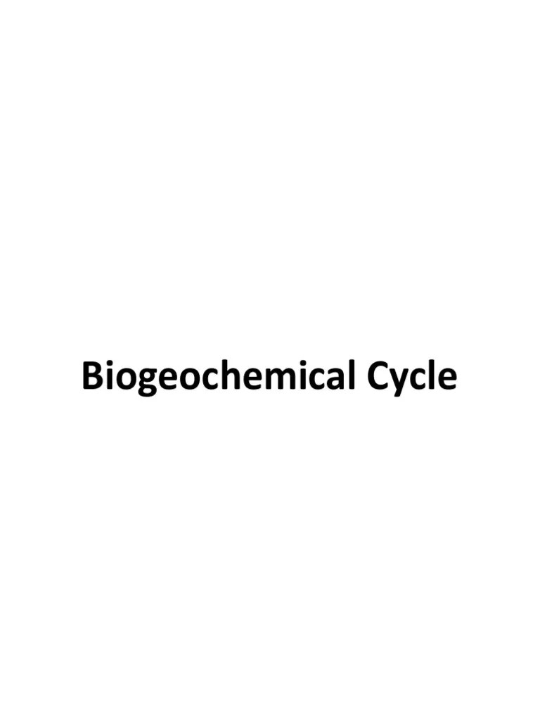 Biogeochemical Cycle PDF Probiotic Causes Of Death