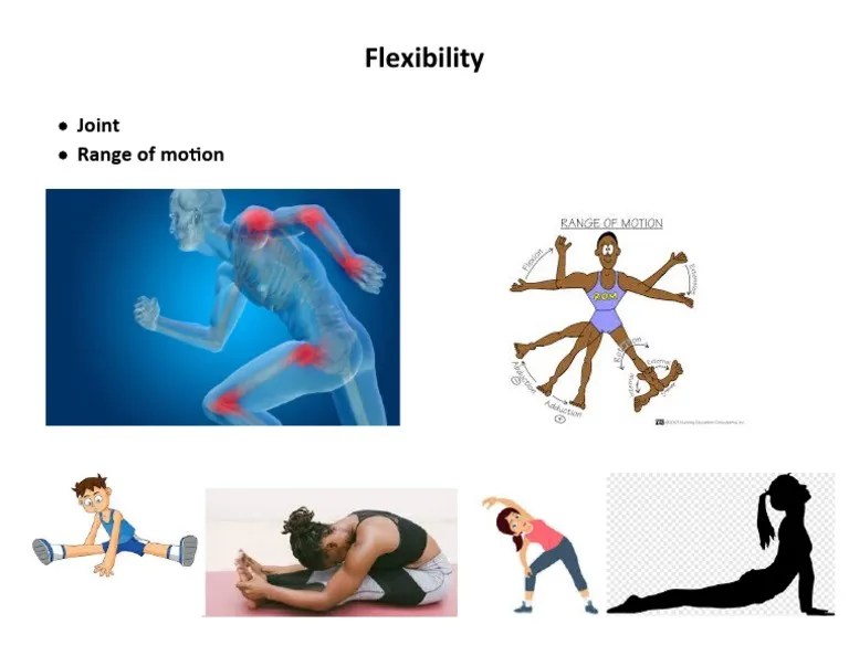 Flexibility PDF