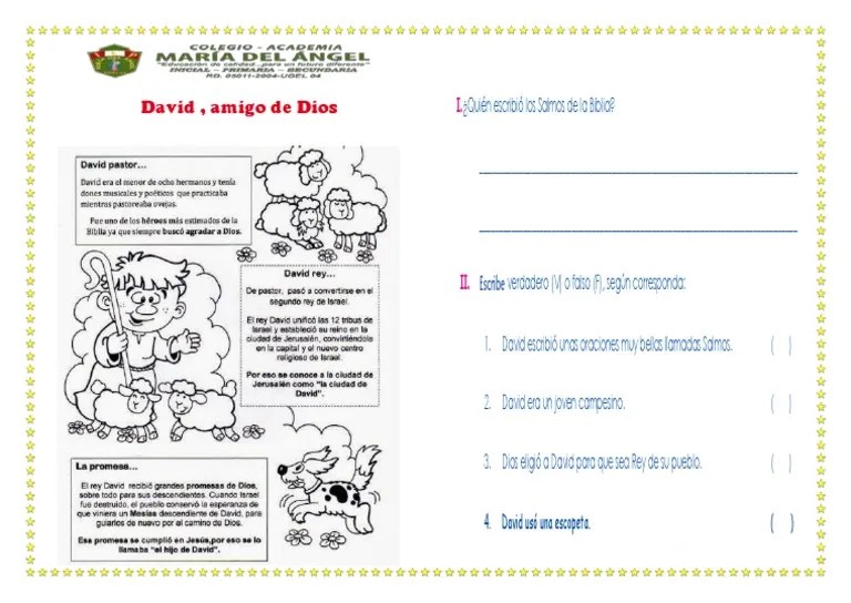 David Amigo de Dios PDF