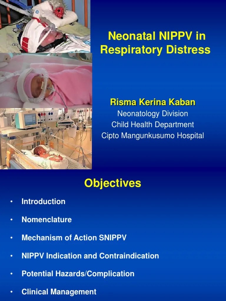 Nippv Revisi Final Picu Nicu Maret PDF Pulmonology Respiratory System