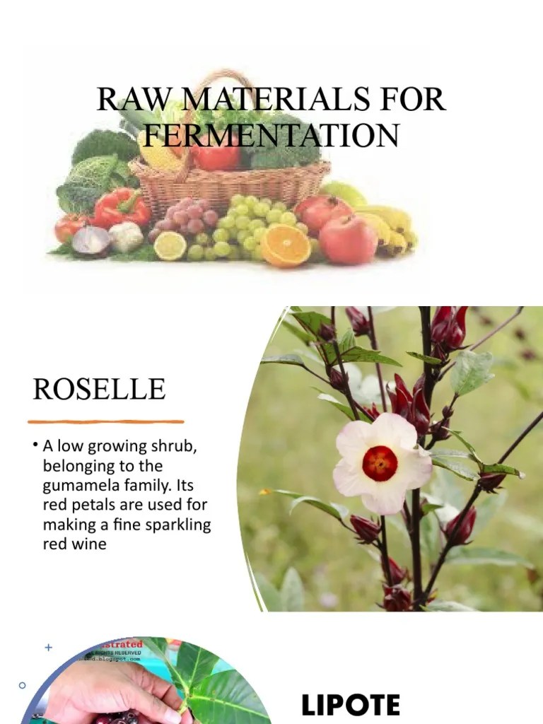 Raw Materials in Fermentation PDF Foods Fruit