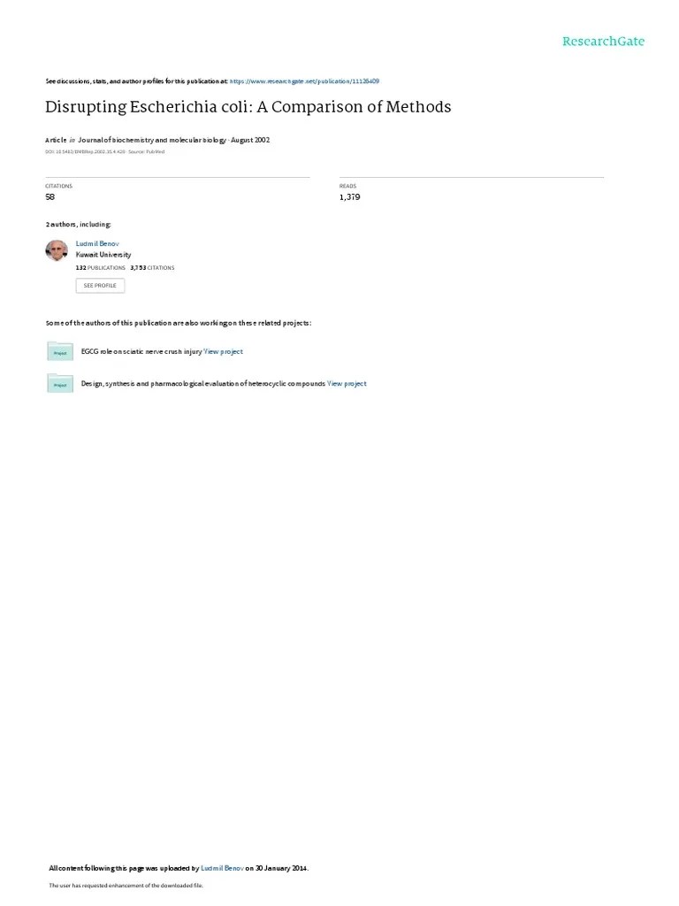 Glass Bead and Vortex PDF Proteins Enzyme