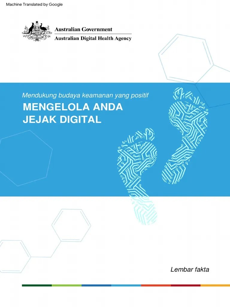 Manage Your Digital Footprint PDF