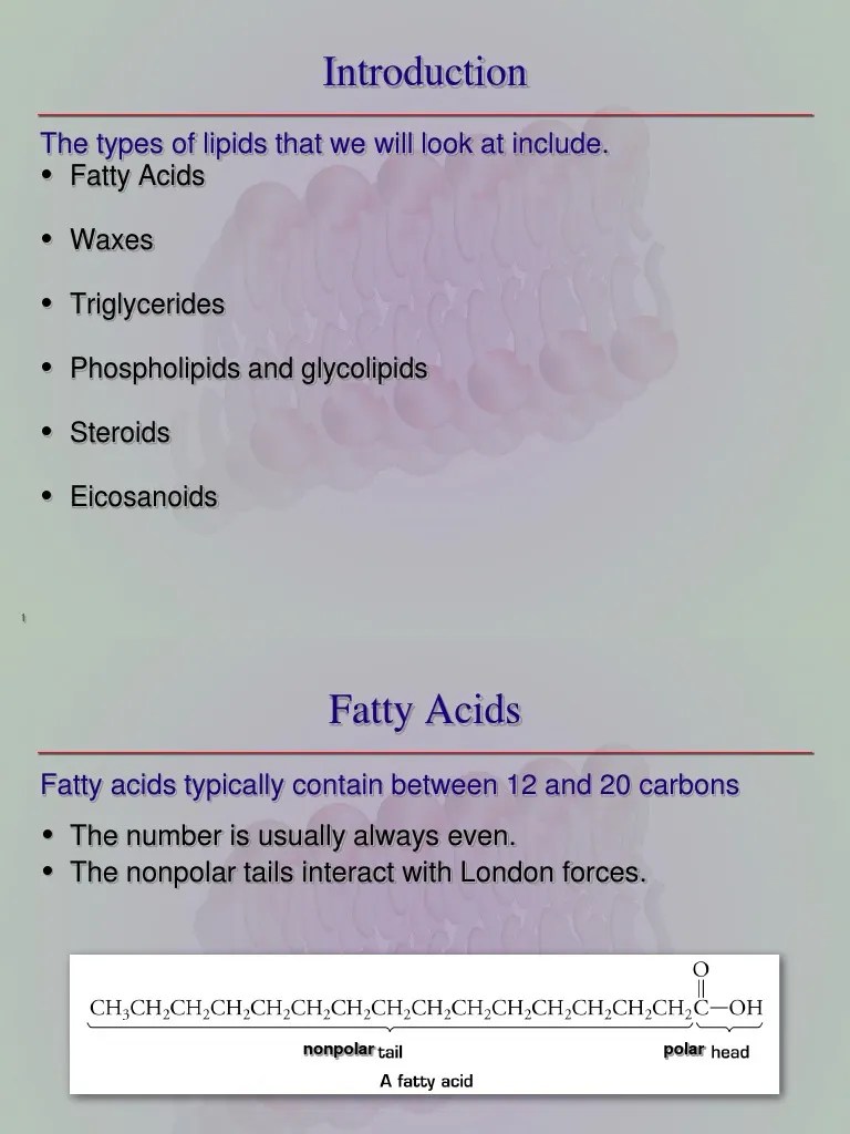 Unit5Intro Lipids (Student Copy) PDF Lipid Fatty Acid