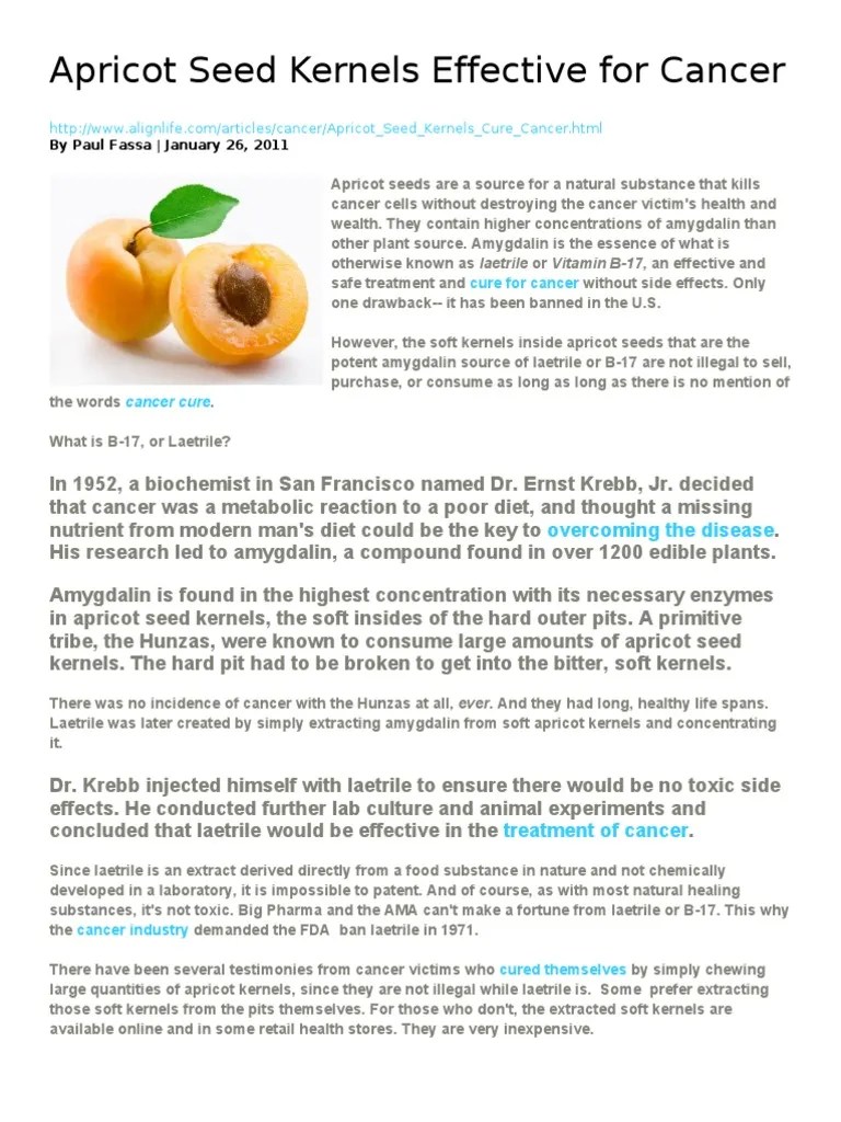Apricot Seed Kernels Effective for Cancer Seed Cancer