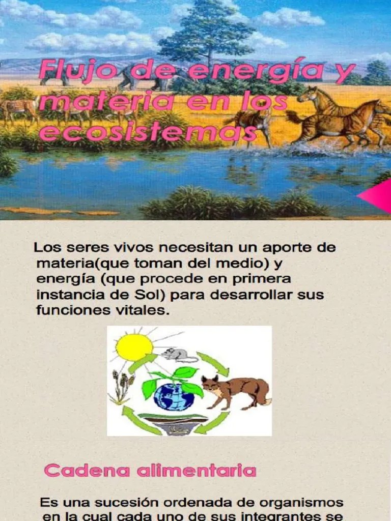 Flujo de Energia | PDF