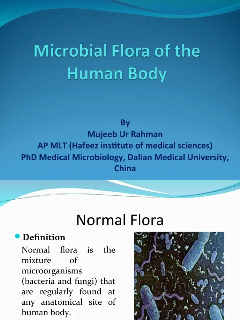5 Microbial Flora of The Human Body PDF Bacteria