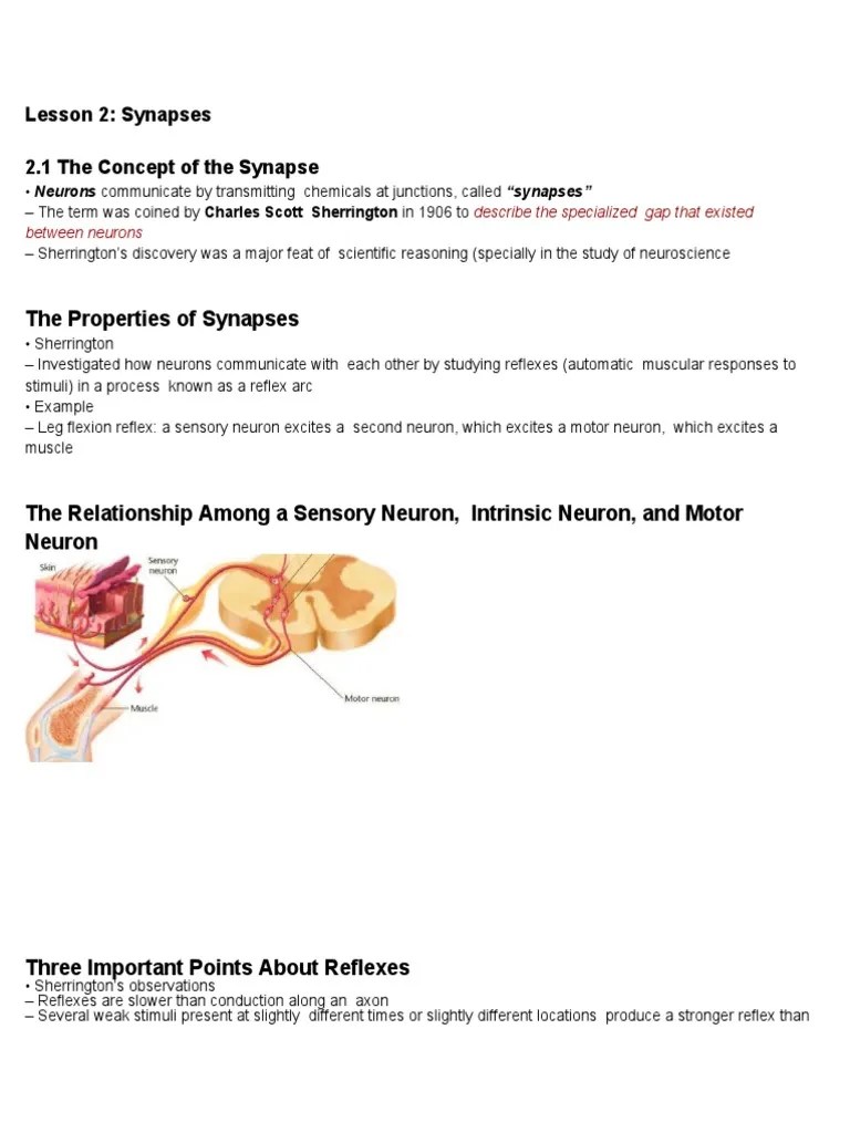 Sherrington's Pioneering Research Lays the Foundation for Understanding