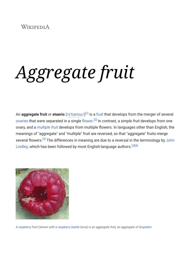 Aggregate Fruit Wikipedia PDF Fruit Plant Reproduction