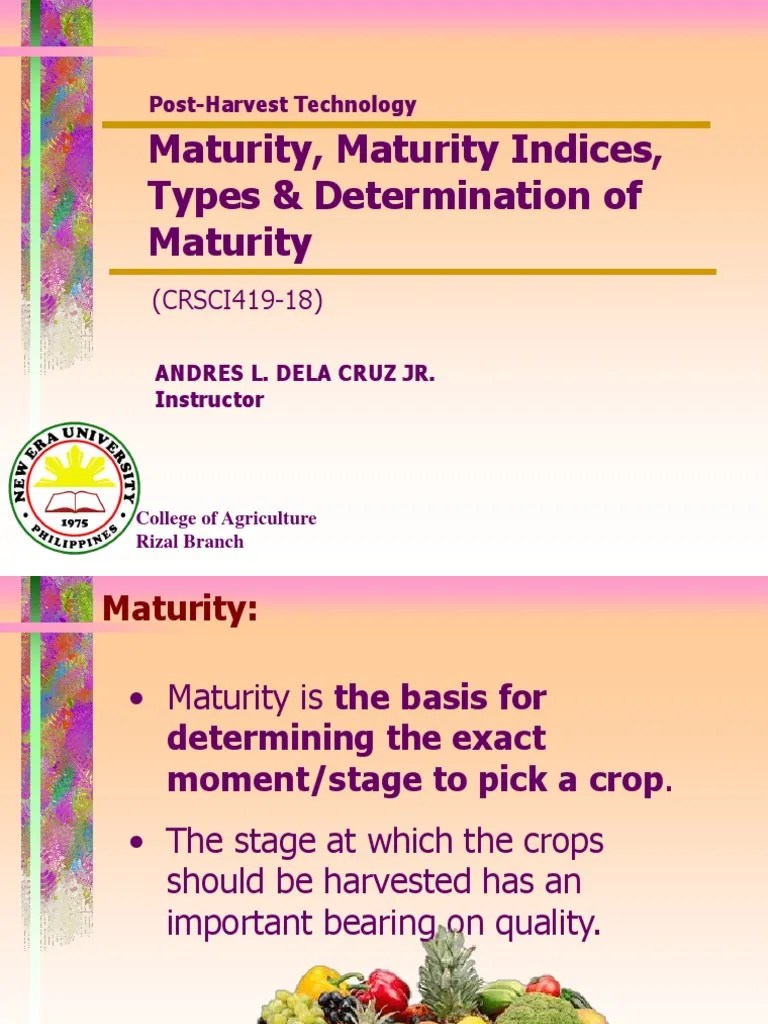 Lecture 3 Maturity and Maturity Indices PDF Fruit Postharvest