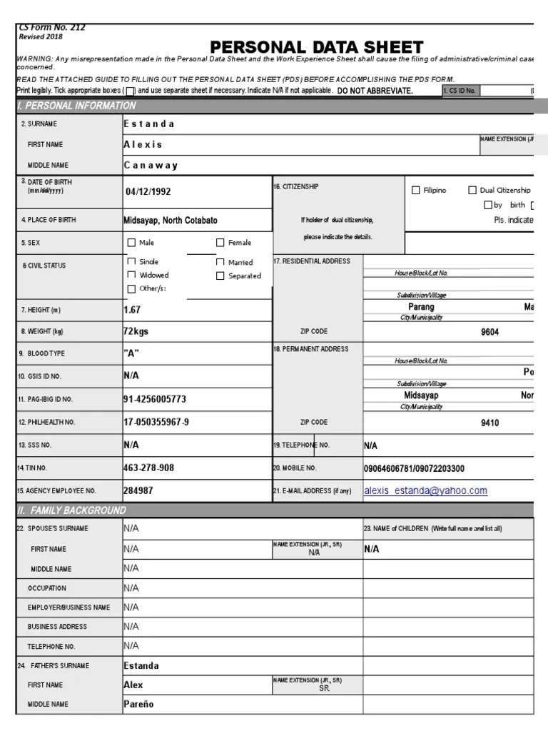 CS Form 212 Personal Data Sheet PDF Social Institutions Government