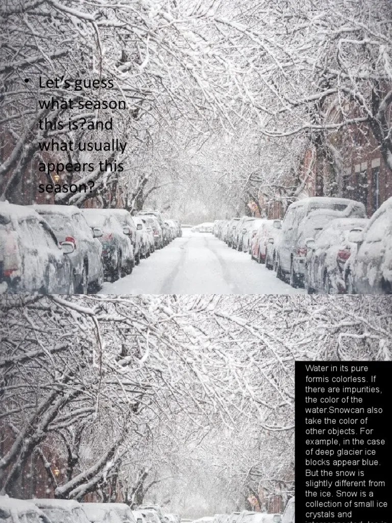 The Science of Snow Exploring the Properties and Behavior of