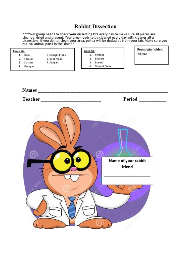 Rabbit Dissection Packet PDF
