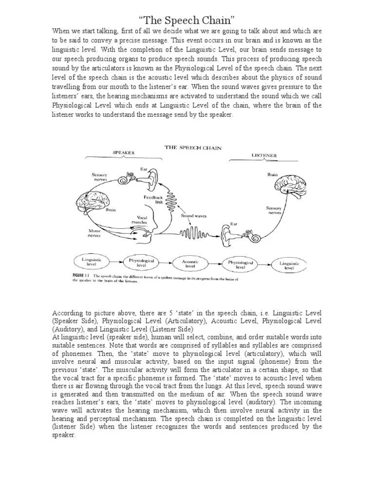 The Speech Chain PDF