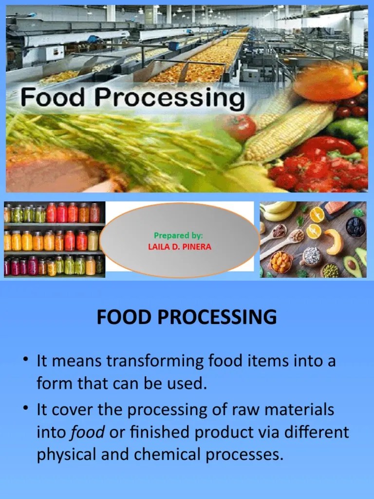 What Is Food Processing PDF