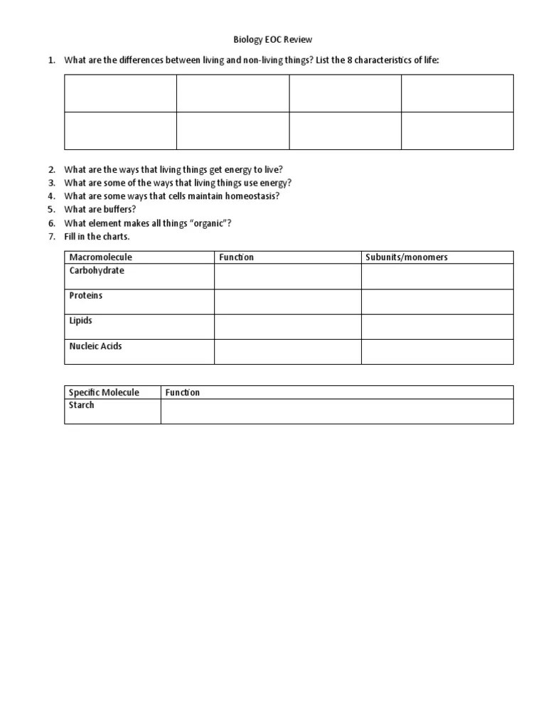 Biology EOC Review: A Comprehensive Guide to Key Concepts and Processes