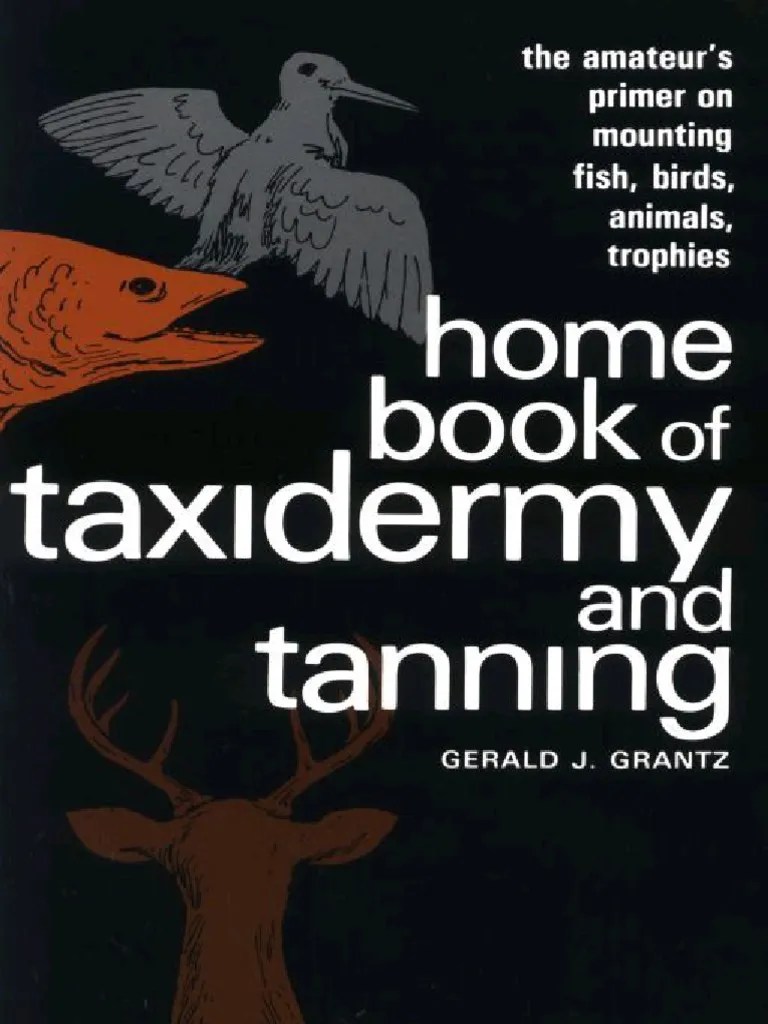 Home Book of Taxidermy and Tanning (PDFDrive) PDF Taxidermy Plaster