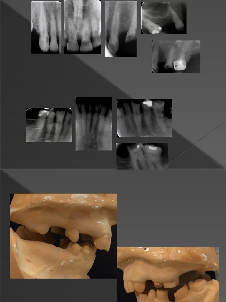 Occ PDF Dentistry Health Care