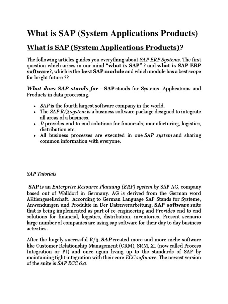 What Is SAP PDF Information Management Computer Science