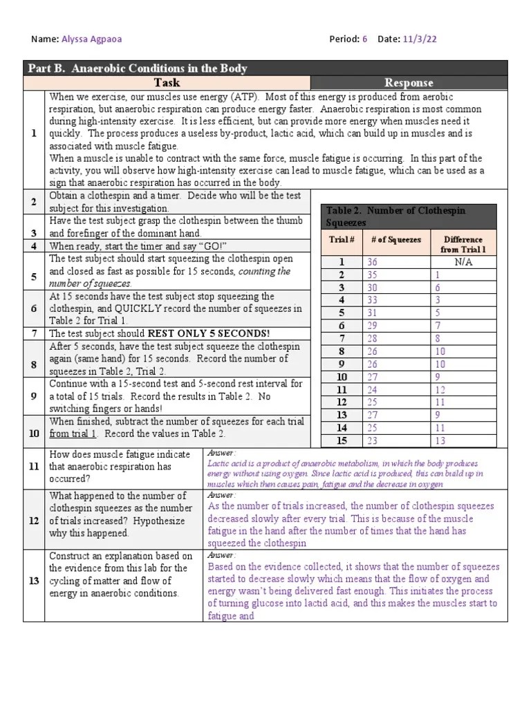 Anaerobic Conditions Clothespin Lab PDF Skeletal Muscle Cellular