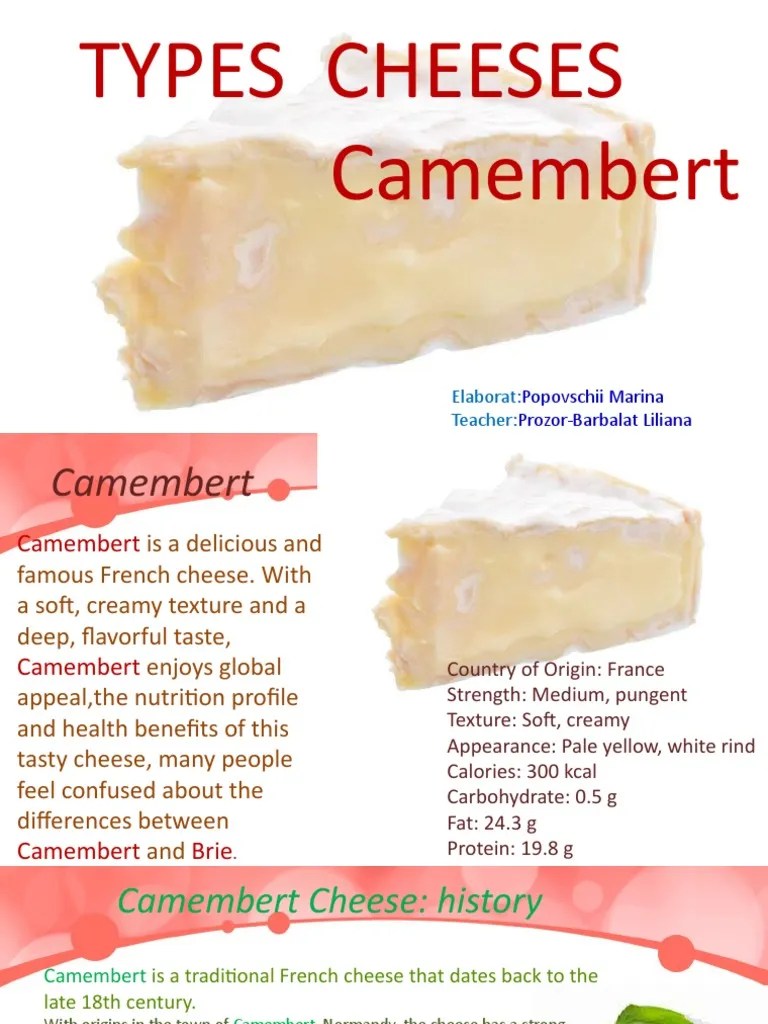 Types Cheeses Camembert PDF Cheesemaking Cheese