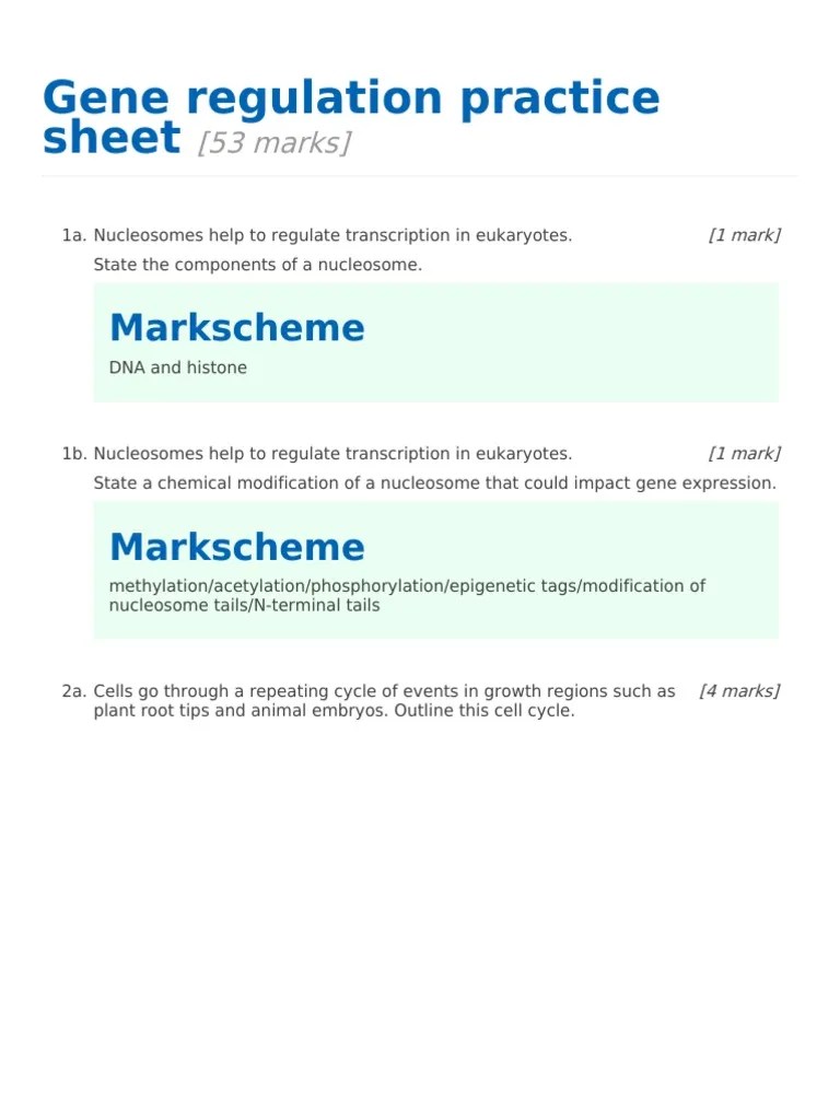 MS Gene Regulation Practice Sheet PDF Gene Cellular Respiration
