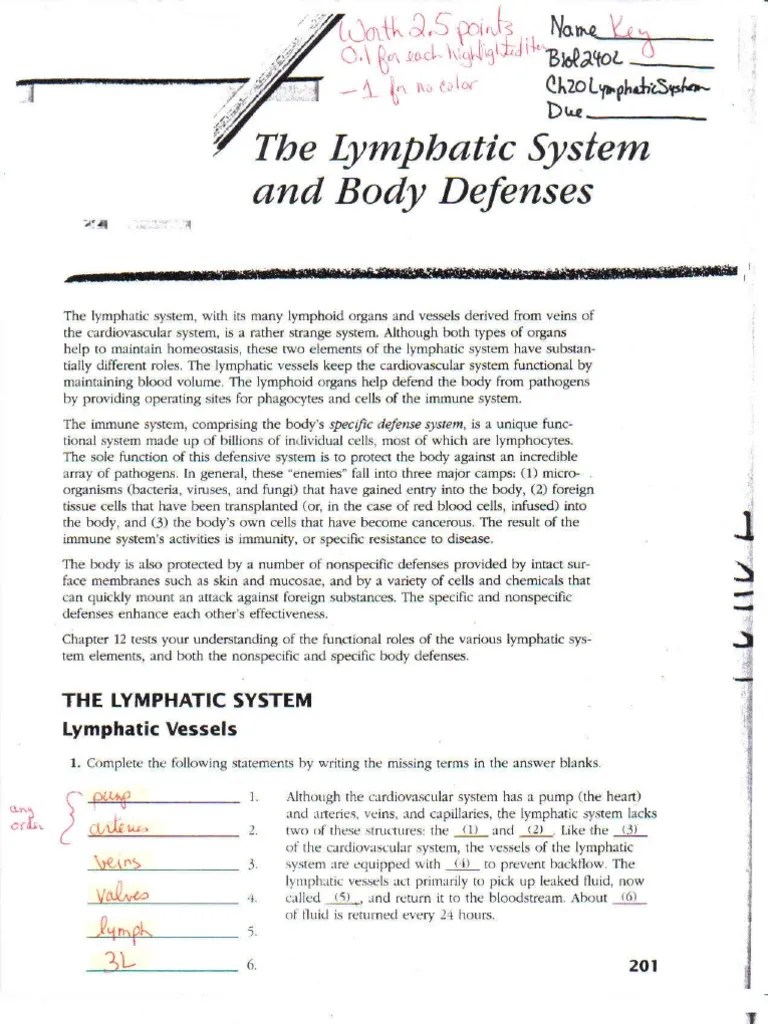 Anatomy & Physiology II