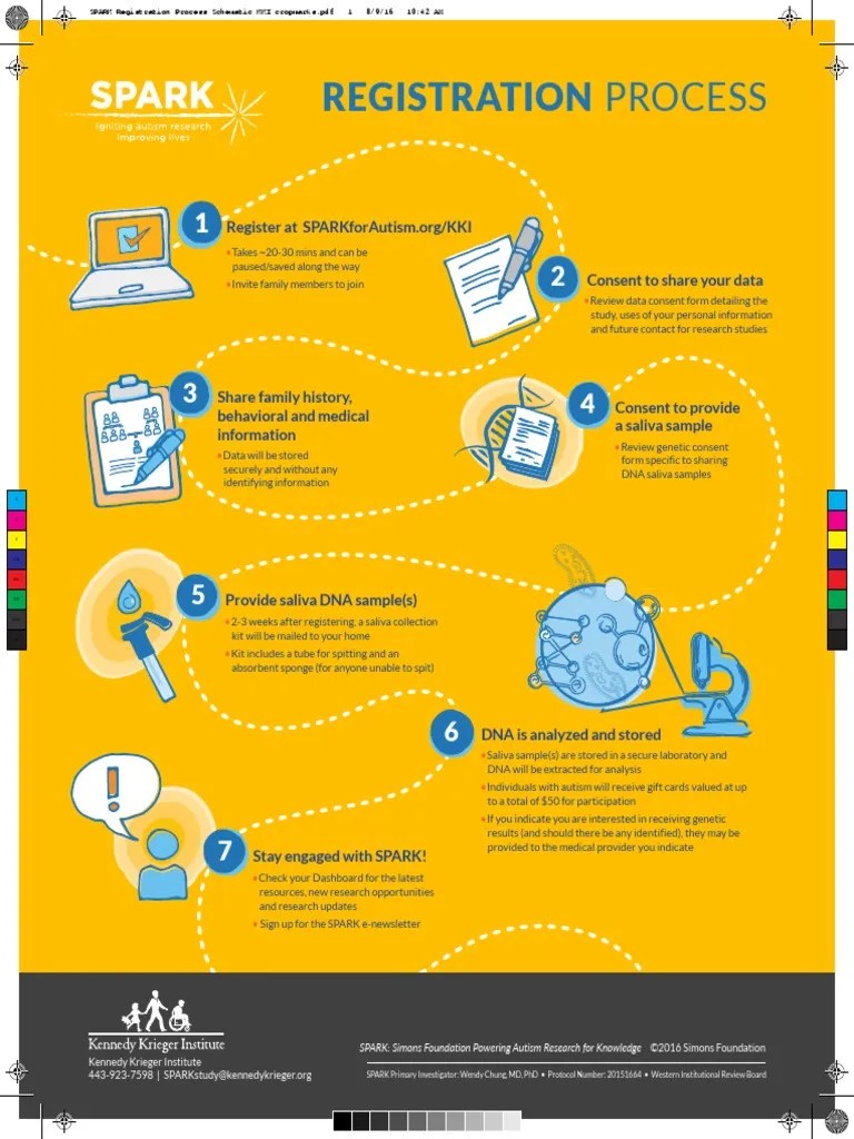 Spark Registration Process PDF Science
