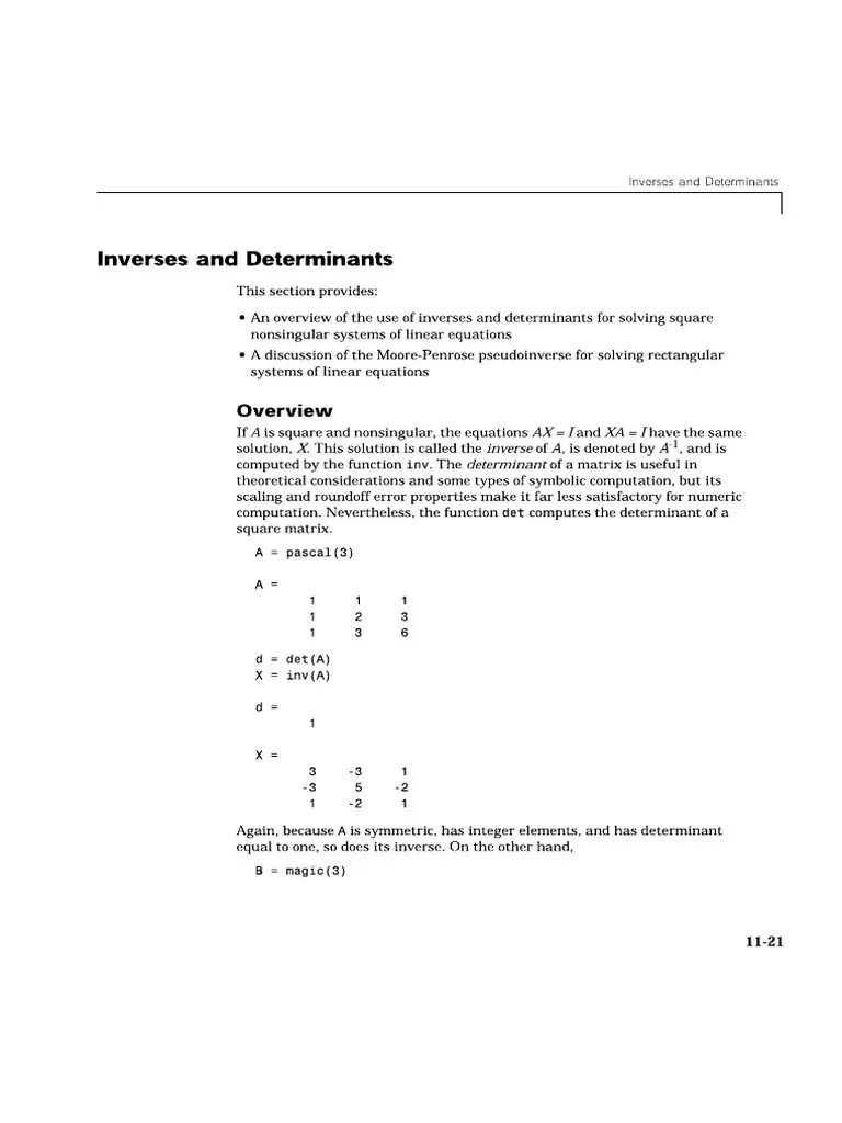 MATLAB Determinant PDF