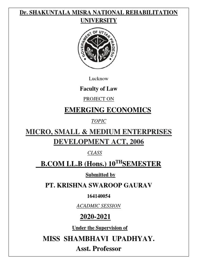 Analysis of the Micro, Small and Medium Enterprises Development Act