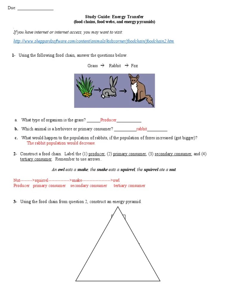 Study Guide Unit 7 Answer Key | PDF | Food Web | Herbivore