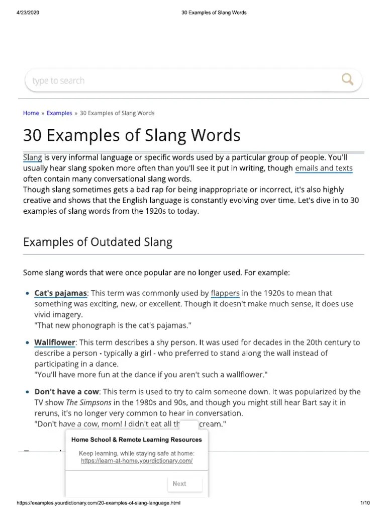 30 Examples of Slang Words PDF