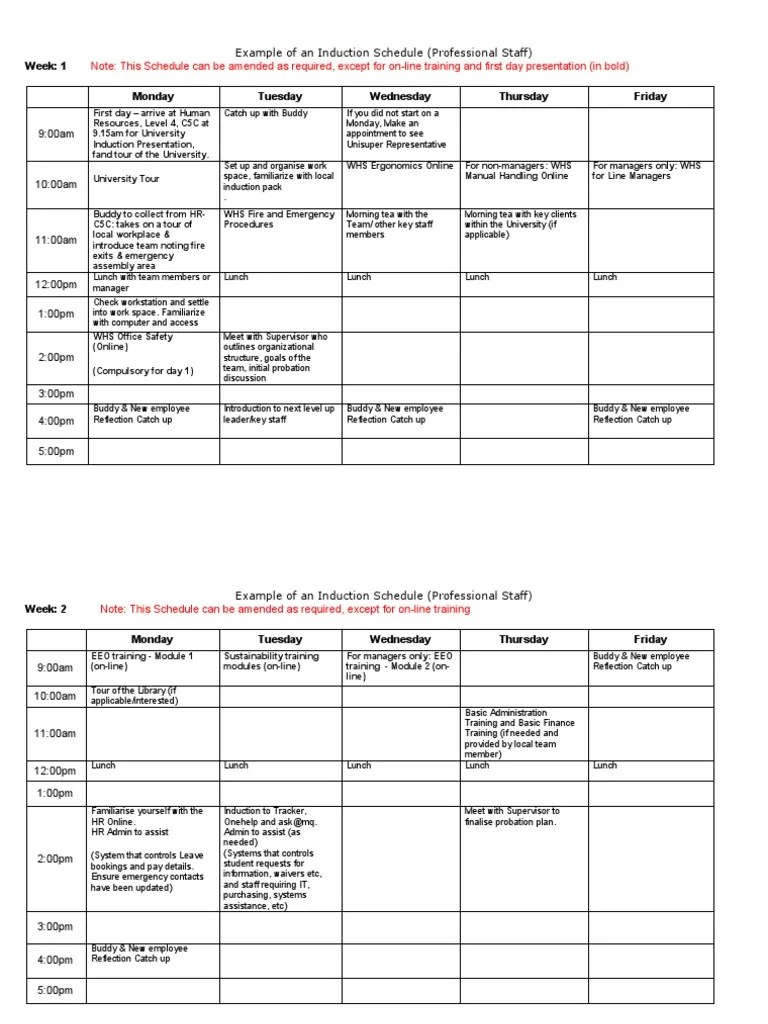Induction Schedule Template Professional PDF Computing Business
