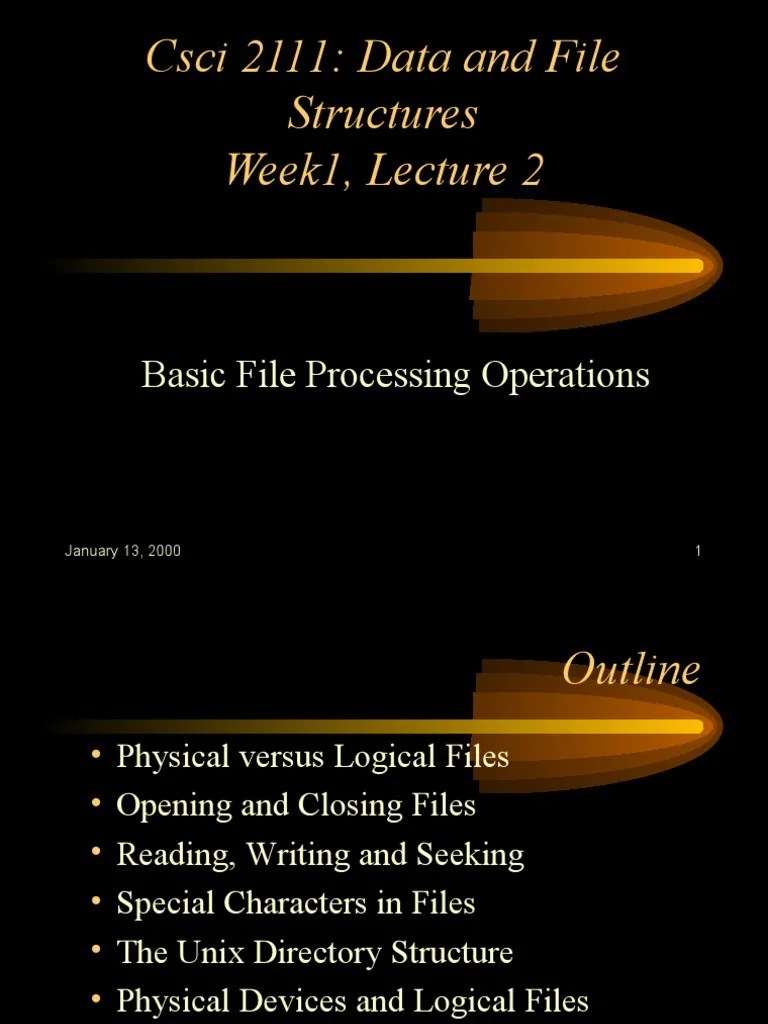 DFS Lecture3 PDF Computer File Software Development