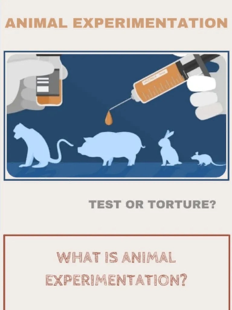 1st Draft A Blogpost On Whether Animal Testing Is Ethical or Not
